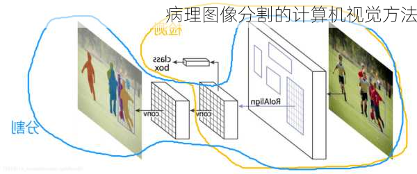 病理图像分割的计算机视觉方法