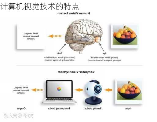 计算机视觉技术的特点