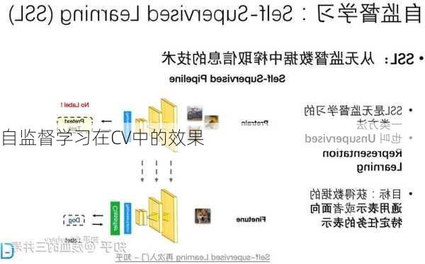 自监督学习在CV中的效果