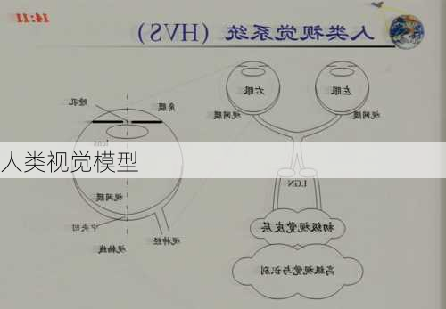 人类视觉模型