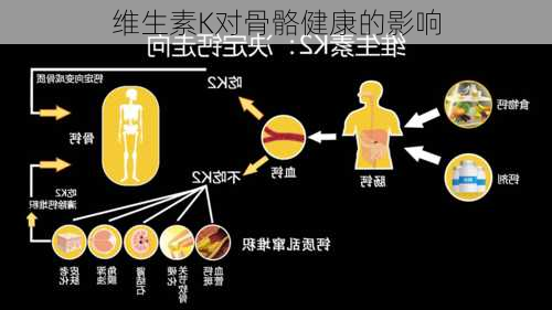 维生素K对骨骼健康的影响