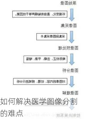 如何解决医学图像分割的难点