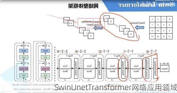 SwinUnetTransformer网络应用领域