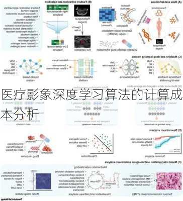 医疗影象深度学习算法的计算成本分析