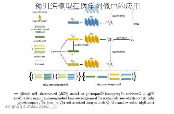 预训练模型在医学图像中的应用