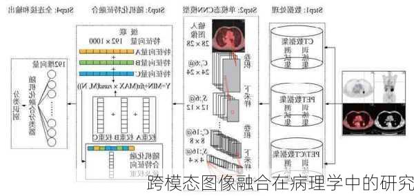 跨模态图像融合在病理学中的研究