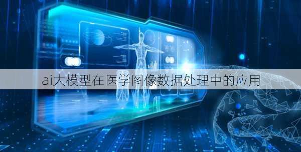 ai大模型在医学图像数据处理中的应用