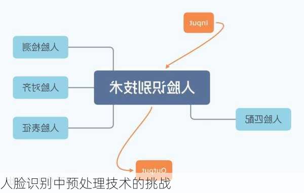 人脸识别中预处理技术的挑战