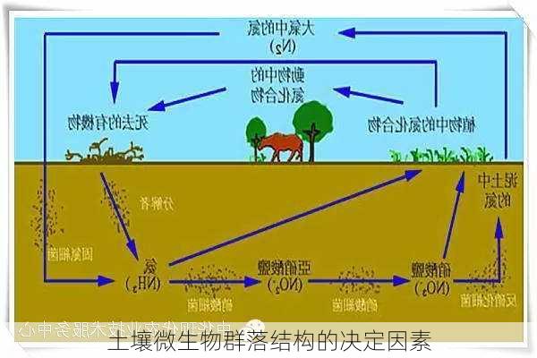 土壤微生物群落结构的决定因素