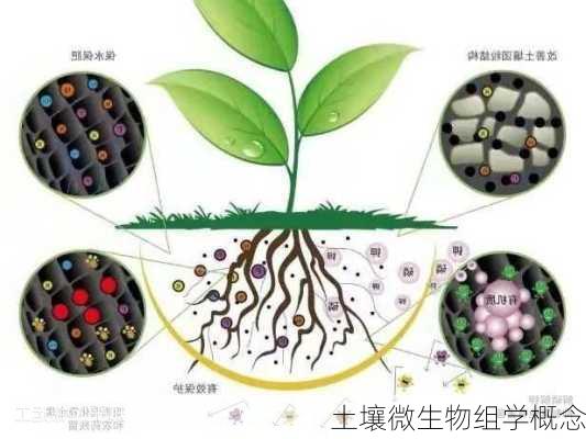 土壤微生物组学概念