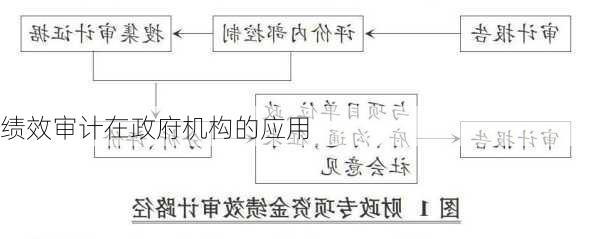 绩效审计在政府机构的应用