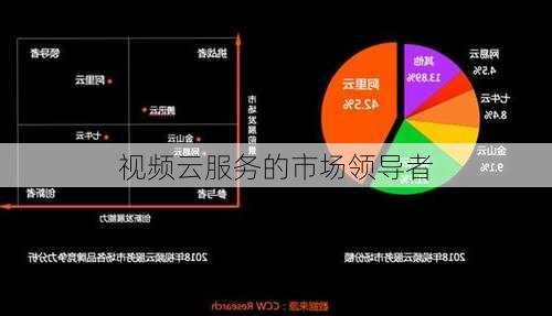 视频云服务的市场领导者