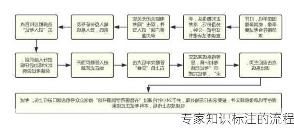 专家知识标注的流程