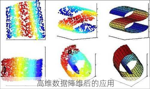 高维数据降维后的应用