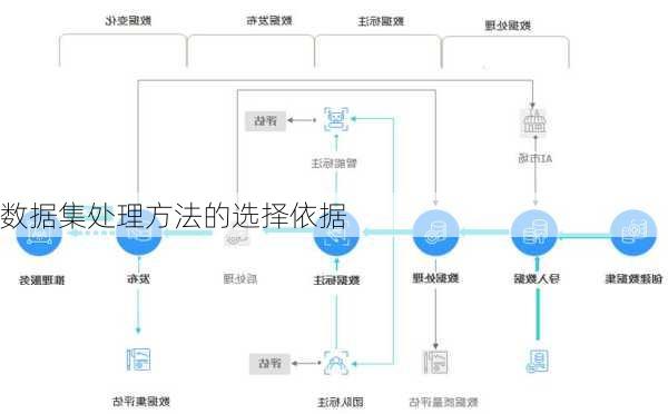 数据集处理方法的选择依据