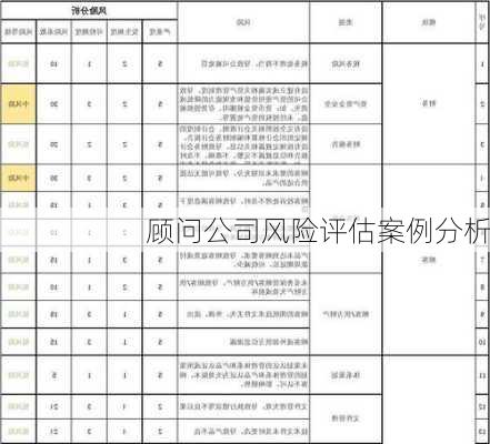 顾问公司风险评估案例分析