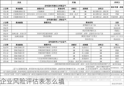 企业风险评估表怎么填