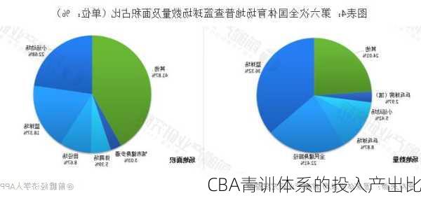 CBA青训体系的投入产出比