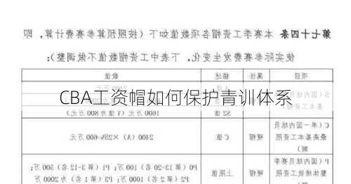 CBA工资帽如何保护青训体系