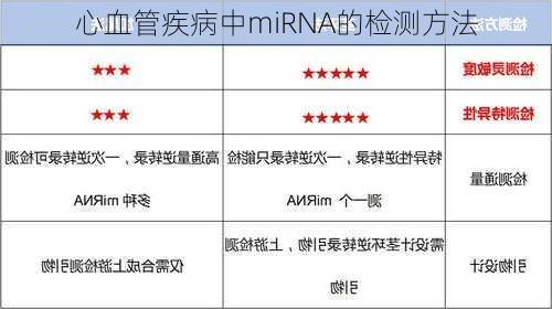 心血管疾病中miRNA的检测方法