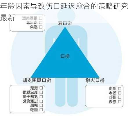 年龄因素导致伤口延迟愈合的策略研究最新