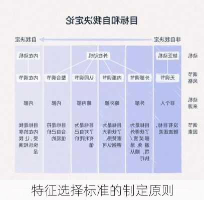 特征选择标准的制定原则