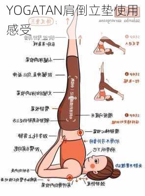 YOGATAN肩倒立垫使用感受