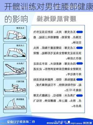 开髋训练对男性腰部健康的影响