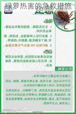 绿萝热害的急救措施