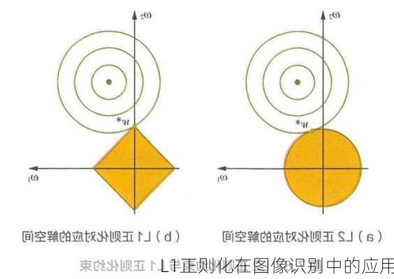 L1正则化在图像识别中的应用