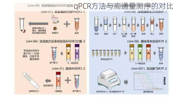 qPCR方法与高通量测序的对比