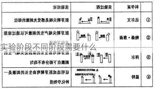 实验阶段不同阶段需要什么