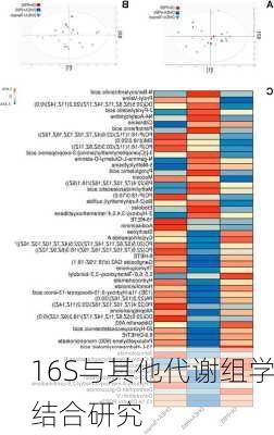 16S与其他代谢组学结合研究