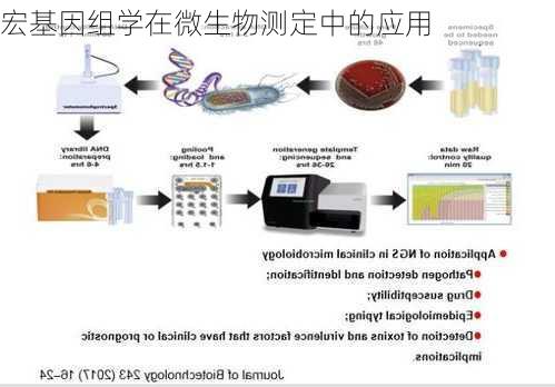 宏基因组学在微生物测定中的应用