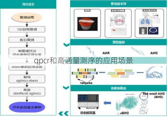 qpcr和高通量测序的应用场景