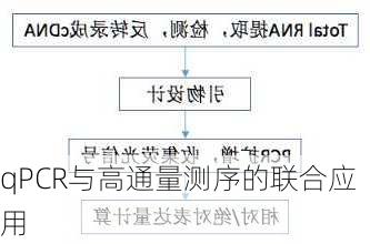 qPCR与高通量测序的联合应用