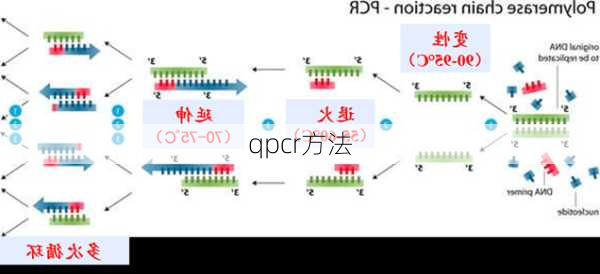 qpcr方法