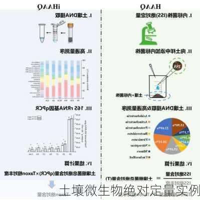 土壤微生物绝对定量实例