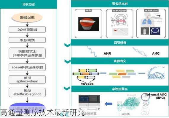 高通量测序技术最新研究