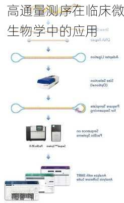 高通量测序在临床微生物学中的应用