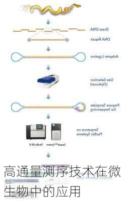 高通量测序技术在微生物中的应用