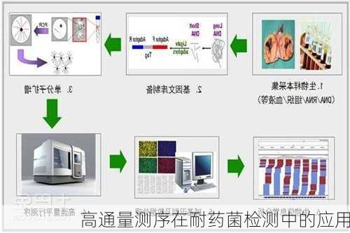 高通量测序在耐药菌检测中的应用