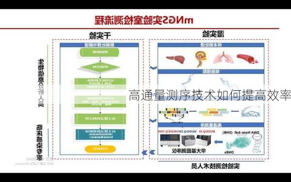 高通量测序技术如何提高效率