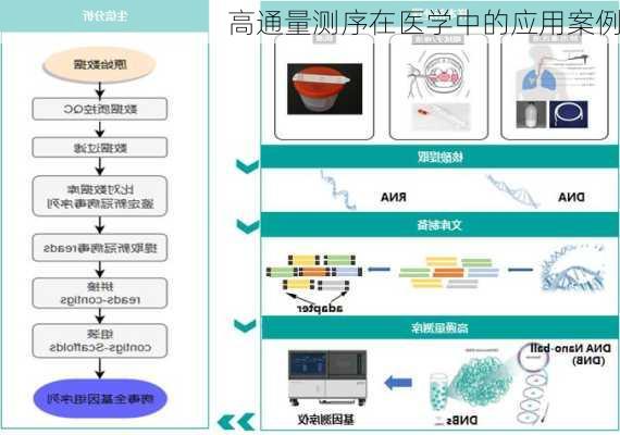 高通量测序在医学中的应用案例