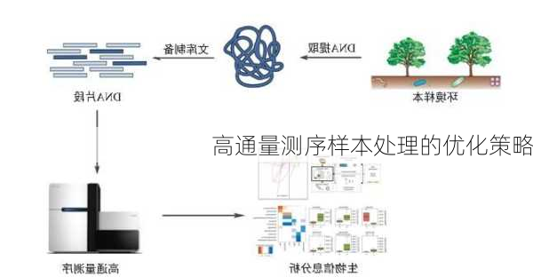 高通量测序样本处理的优化策略