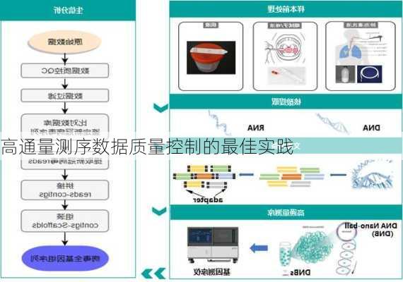 高通量测序数据质量控制的最佳实践