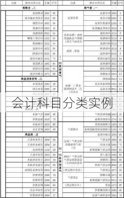 会计科目分类实例