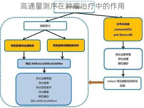 高通量测序在肿瘤治疗中的作用