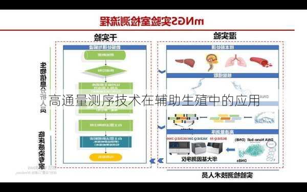 高通量测序技术在辅助生殖中的应用