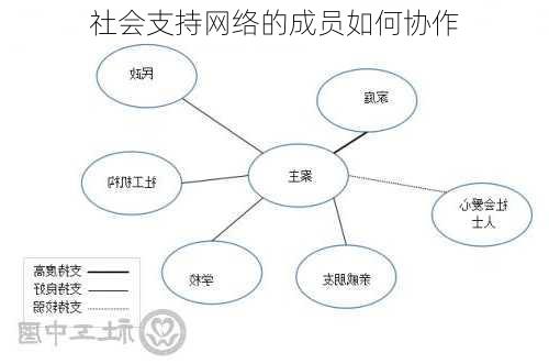 社会支持网络的成员如何协作